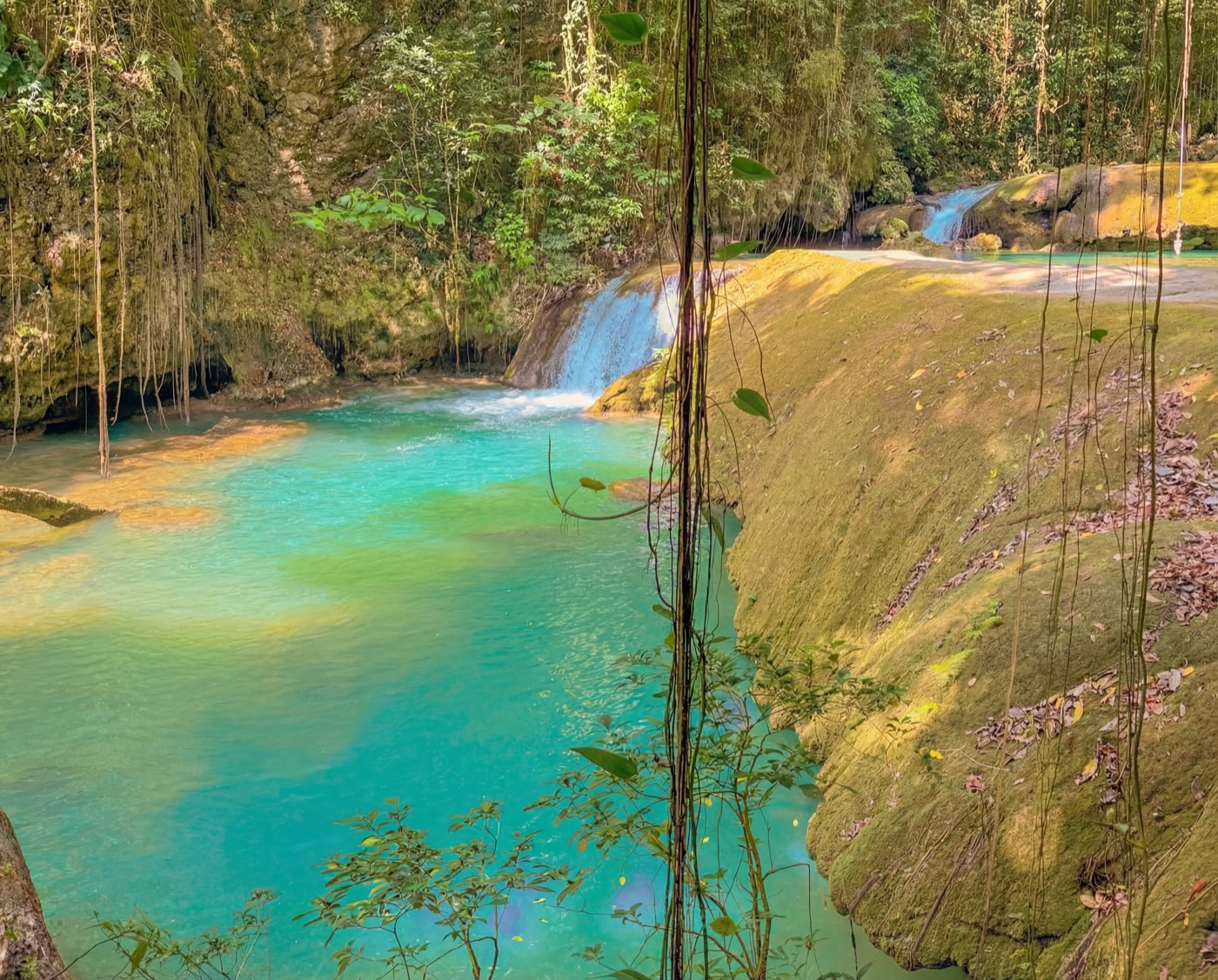 Turquoise waterfall pool in a tropical forest